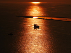 試し撮り：夕日に溶け込む