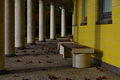 ベンチと枯葉と柱と