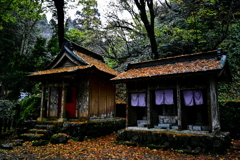 降り積もる枯葉