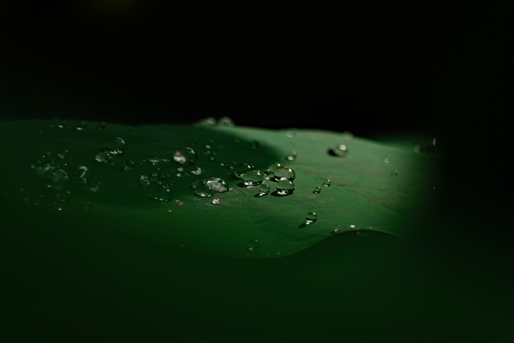 続くよ。雨