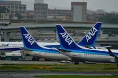 ANA…右往左往
