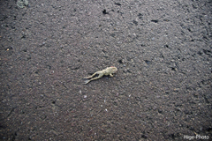 気のどくなぁ～