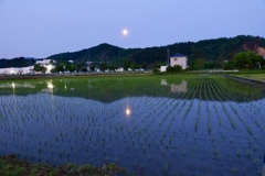月明かり