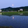 月明かり