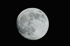 昨日のお月さん