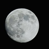 昨日のお月さん