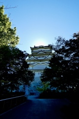 秋日和
