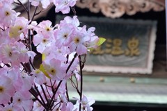 道後温泉