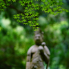 青葉、涼し気
