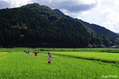 「元気でいるか～」案山子