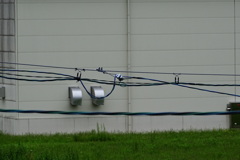 ネオ一眼対決HX400V-400ｍｍ