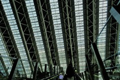 見上げた方が得。