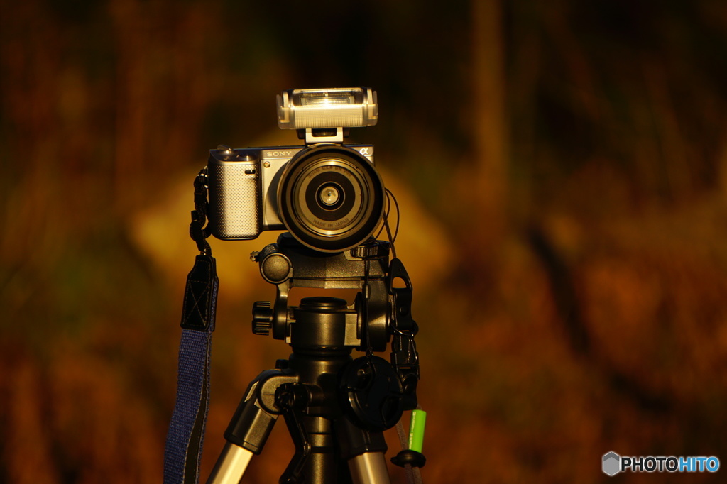 湖畔の夜明け撮影