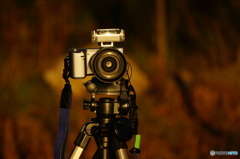 湖畔の夜明け撮影