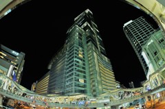 デビューカメラを持ち出して、Osaka-night3