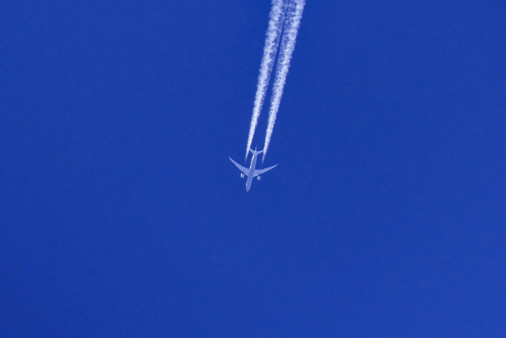 飛行機雲の先っぽ