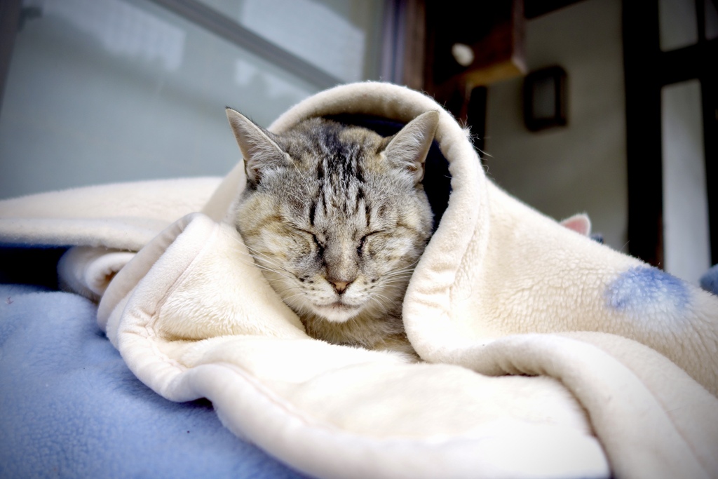 起こさないで！