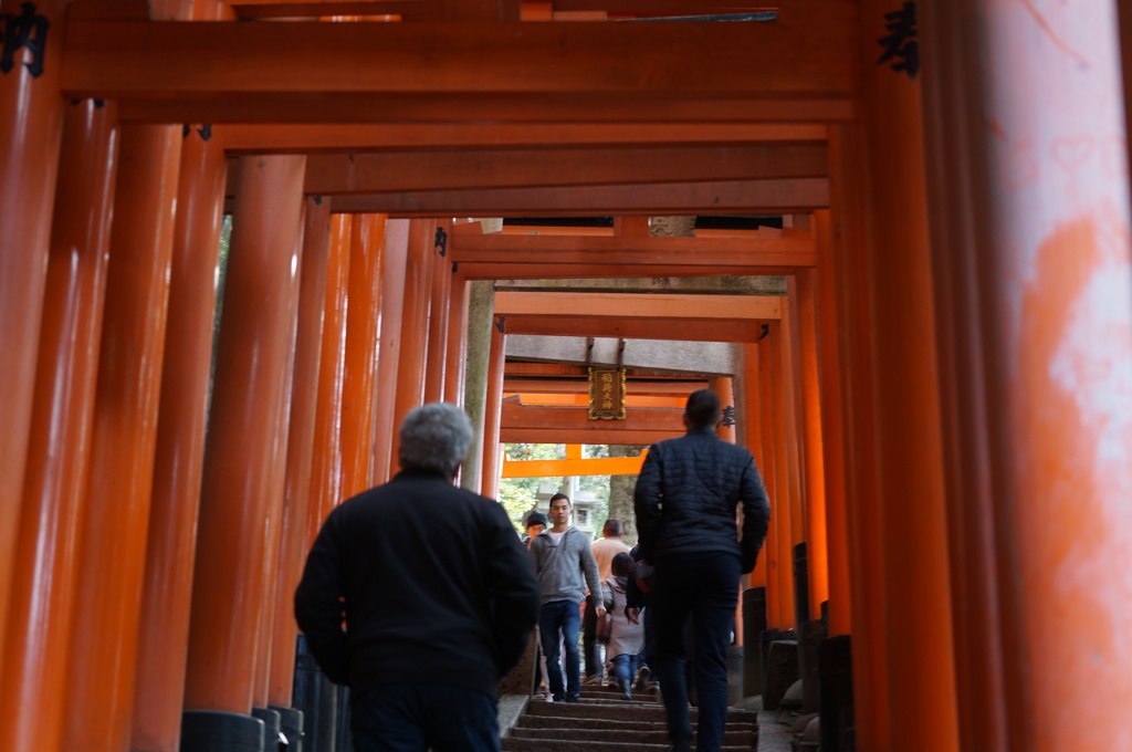 京都さんぽ。伏見稲荷大社3
