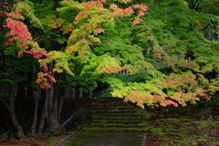社の紅葉