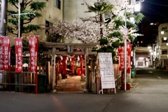 小さな神社は桜満開（4/9T）