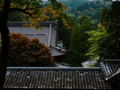 お寺の瓦