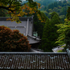 お寺の瓦