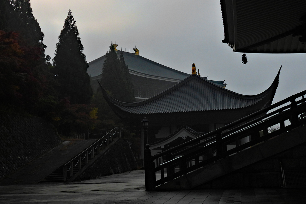 朝霧の中