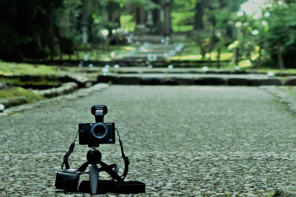 コケの蒸すまで