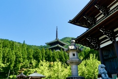 五重の塔