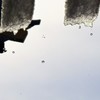 雪の滴