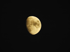 何日ぶりやろ？月夜