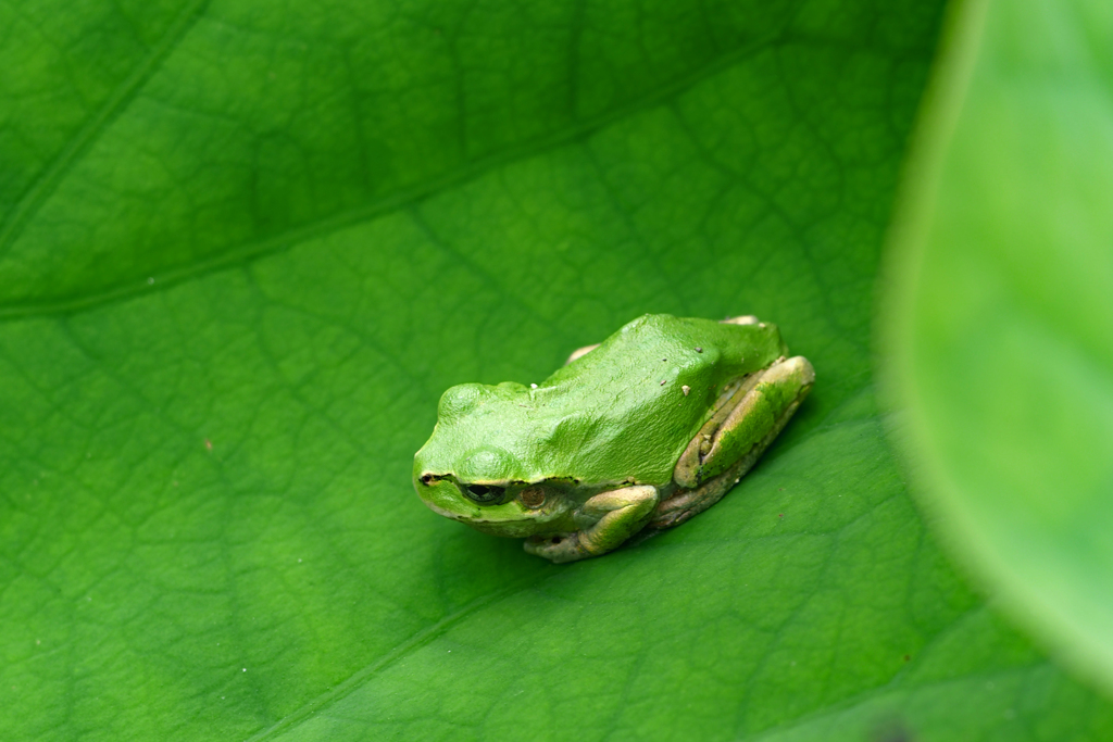 居眠り