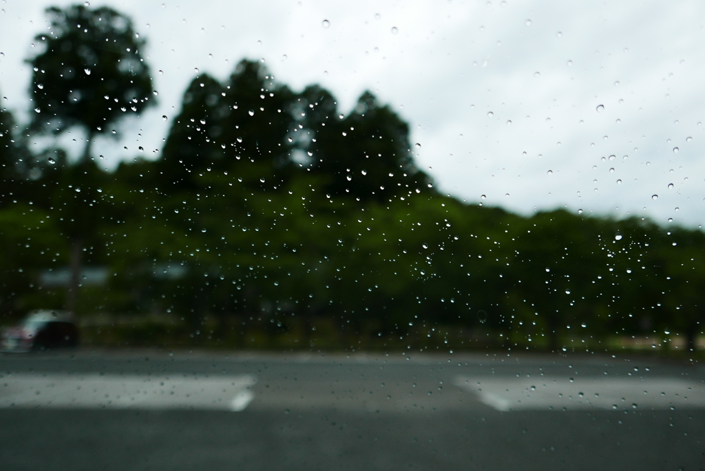 フロントガラス　本日梅雨入り