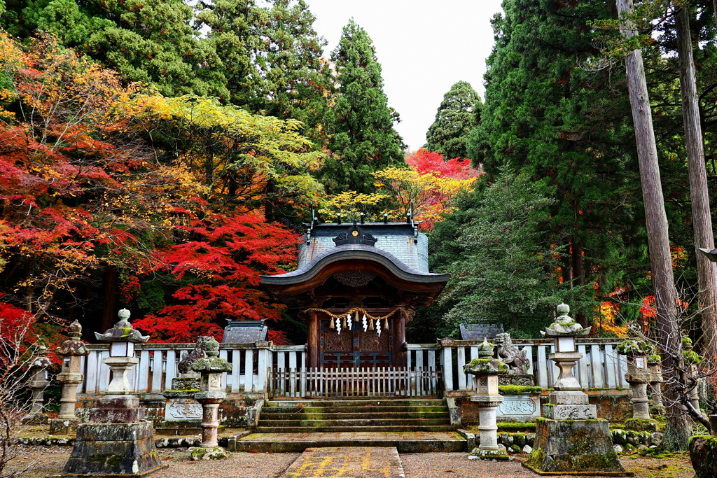 今年も沢山楽しめました