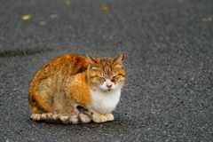 寒さこらえて…