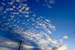 うろこ雲の朝