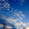 うろこ雲の朝