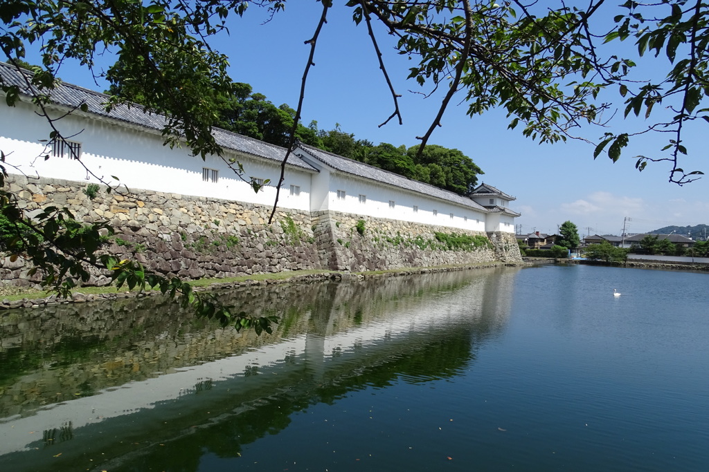 猛暑の彦根城