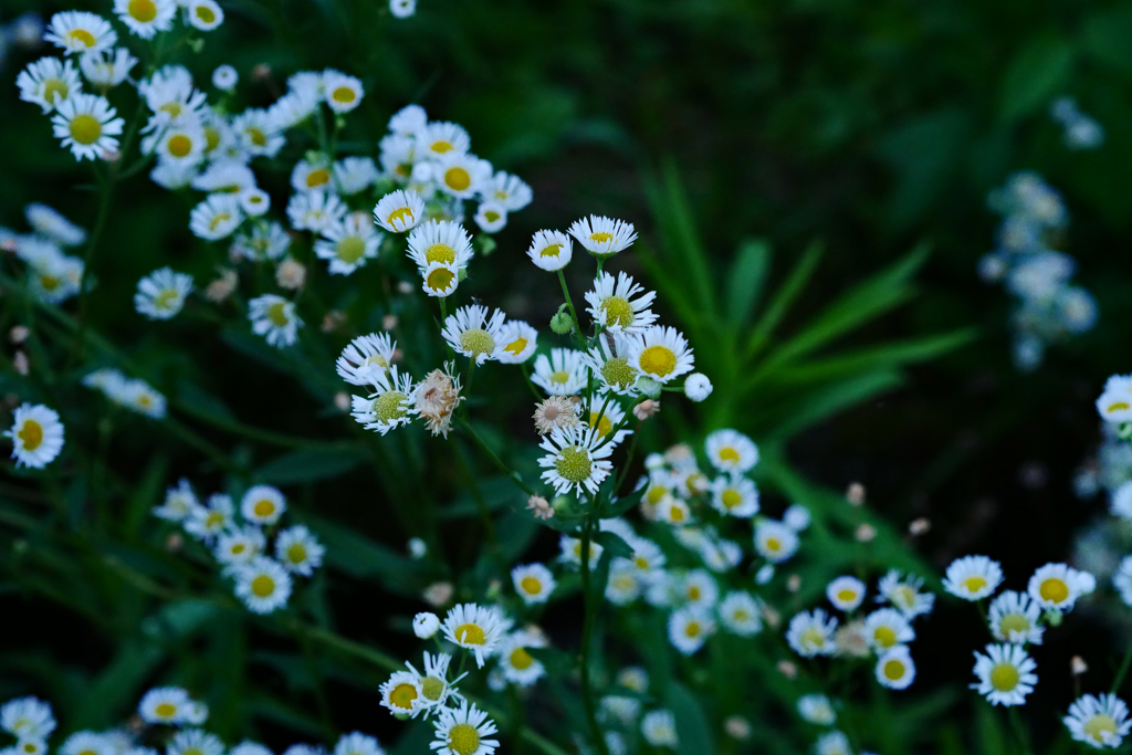 空気が美味すぃ