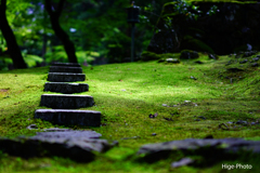 お寺の飛び石
