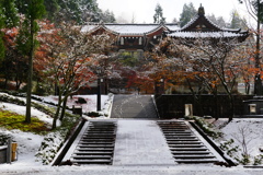 足跡の無い風景