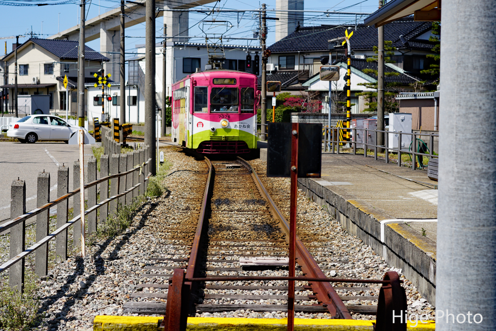 万葉線は終点