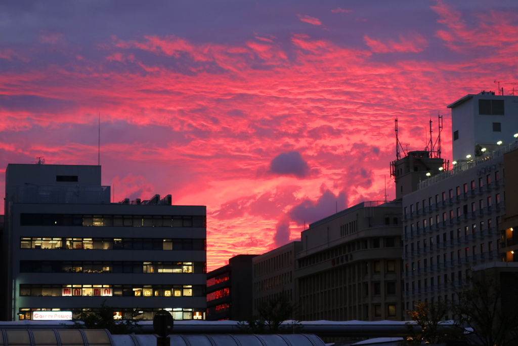 京都の夕日