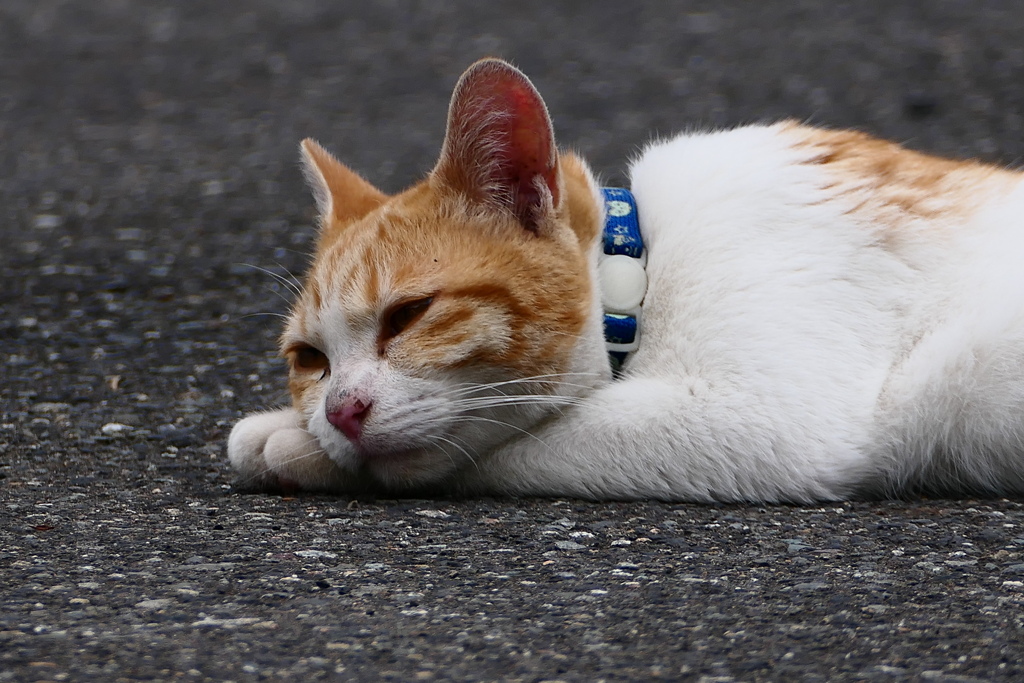 ふぅ～ぅ…って感じ