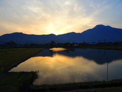 明日、田植え