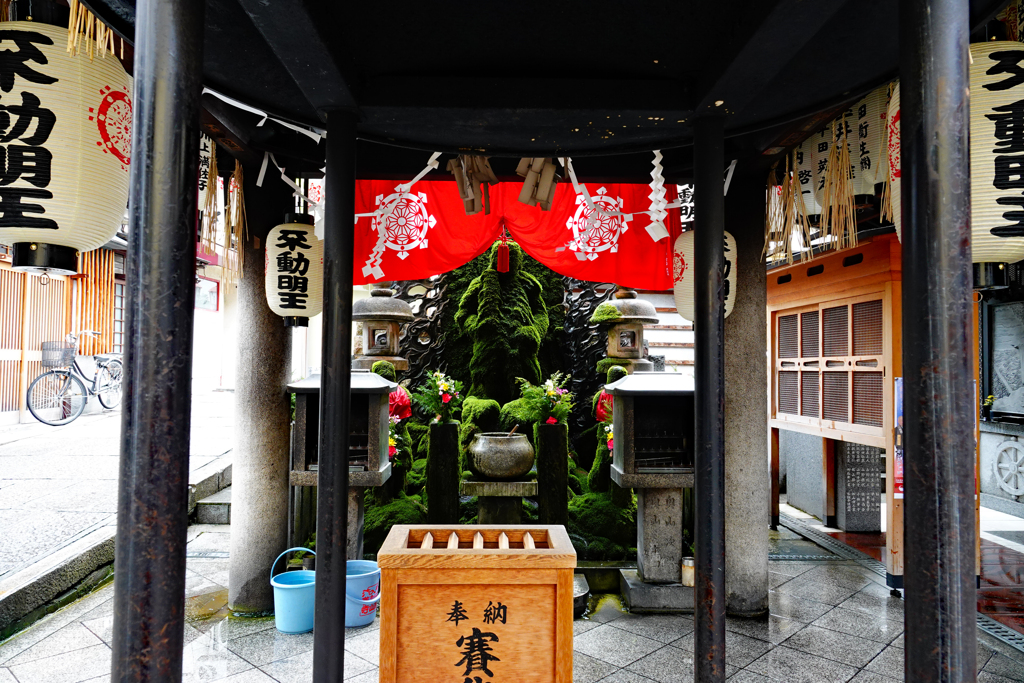 苔美しい水掛不動尊法善寺