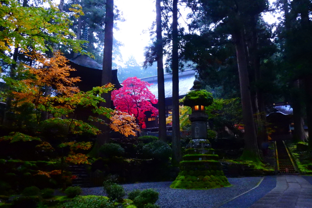 永平寺は彩とりどり