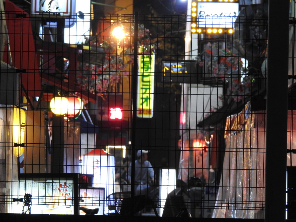 試し撮り：夜の新世界