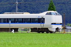 金沢和倉温泉行サンダーバード