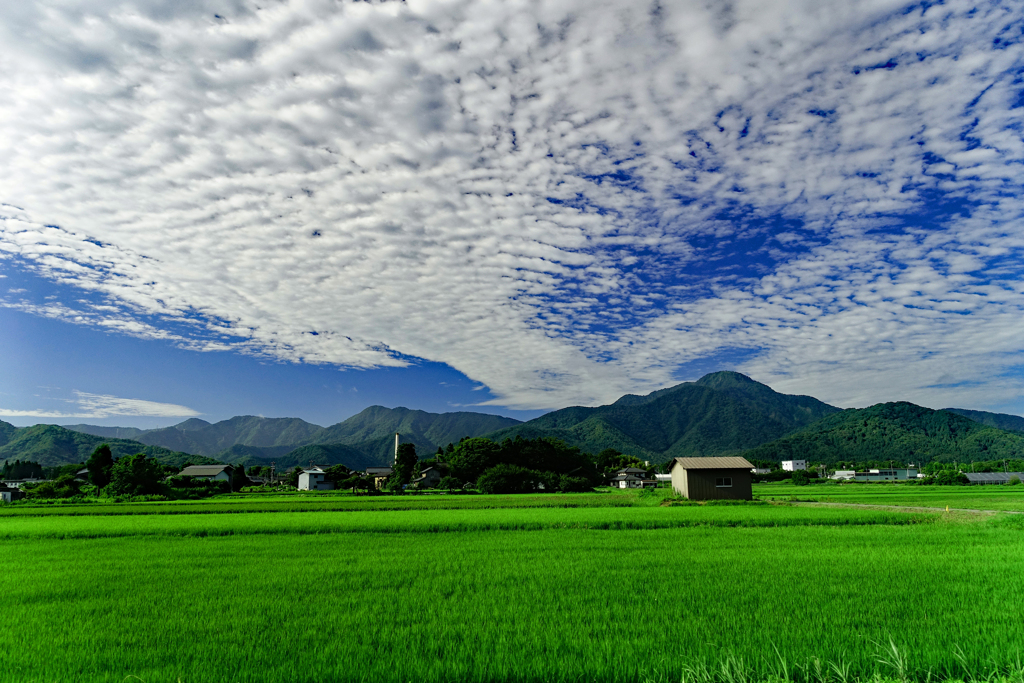 今日が梅雨明けだと思います